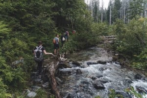 Korkeat Tatrat: Tatras: Bearwatching Vaellusretki Slovakiassa