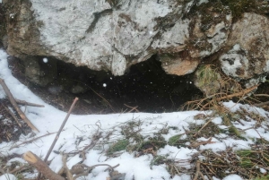 Hiking Bear Watching Tour in the High Tatras, Slovakia