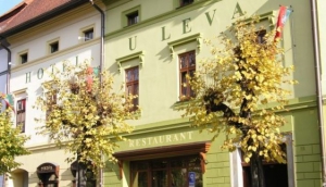 Hotel U Leva