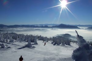 Krakau: Kubínska Hoľa Skigebiet Tagestour mit Gutschein