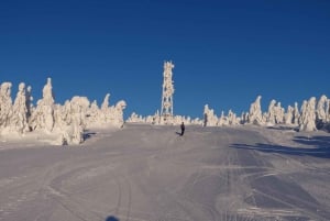 Krakau: Kubínska Hoľa Skigebiet Tagestour mit Gutschein