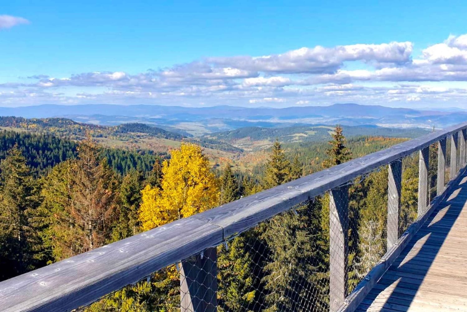 Kraków: Słowiańskie Wzgórza i relaks w termach – wycieczka 1-dniowa