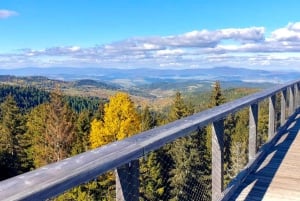 Kraków: Słowiańskie Wzgórza i relaks w termach – wycieczka 1-dniowa