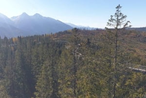 Kraków: Słowiańskie Wzgórza i relaks w termach – wycieczka 1-dniowa