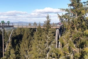 Kraków: Słowiańskie Wzgórza i relaks w termach – wycieczka 1-dniowa