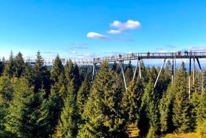 Kraków: Słowiańskie Wzgórza i relaks w termach – wycieczka 1-dniowa