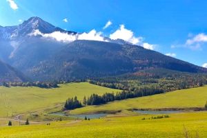 Kraków: Słowiańskie Wzgórza i relaks w termach – wycieczka 1-dniowa