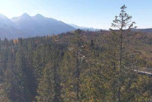 Kraków: Słowiańskie Wzgórza i relaks w termach – wycieczka 1-dniowa