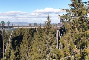 Kraków: Słowiańskie Wzgórza i relaks w termach – wycieczka 1-dniowa