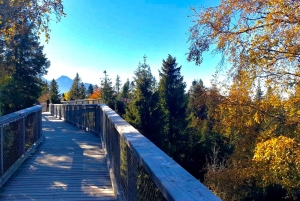 Kraków: Słowiańskie Wzgórza i relaks w termach – wycieczka 1-dniowa