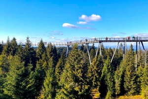 Kraków: Słowiańskie Wzgórza i relaks w termach – wycieczka 1-dniowa