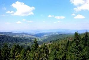 Cracovie : Marche dans les arbres en Slovaquie et visite privée de Zakopane