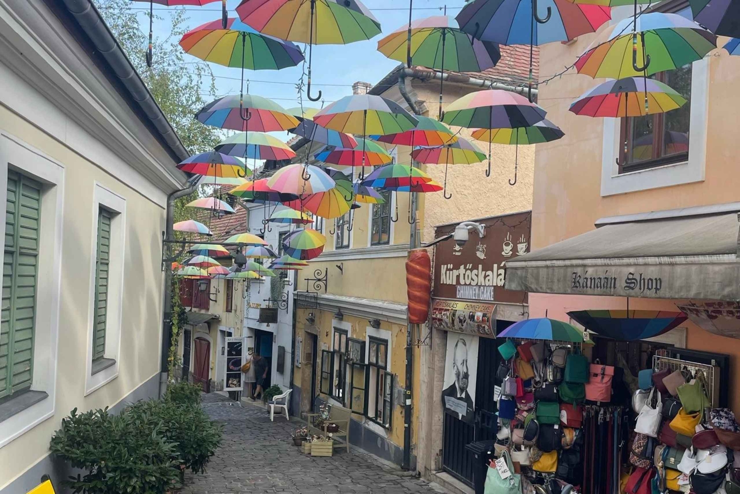 Legendarisk Donau-sving privat dagstur