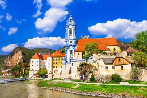 Luxury Van Tour: Salzburg, Hallstatt & More for Your Group