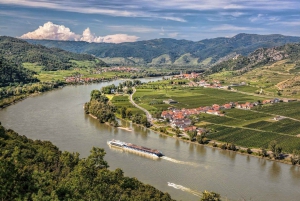 Luxury Van Tour: Salzburg, Hallstatt & More for Your Group