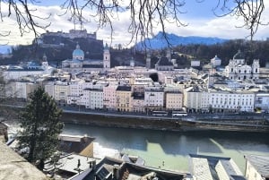 Luxury Van Tour: Salzburg, Hallstatt & More for Your Group