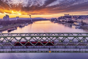 Malalata Party: Musiikkiristeilyt kiertoajeluveneillä