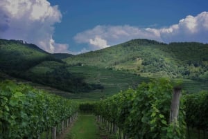 Z Wiednia do Salzburga przez Opactwo Melk: barokowe perełki