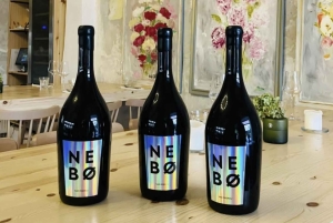 Modra: degustacja lokalnych win w XVI-wiecznej piwnicy