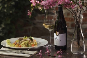 Modra: degustacja lokalnych win w XVI-wiecznej piwnicy