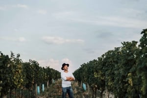 Modra: Privat vinprovning med guide från vingårdens ägare