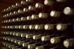 Modra: Privat vinprovning med guide från vingårdens ägare