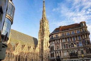 My Vienna or Yours: Guided Walking Tour