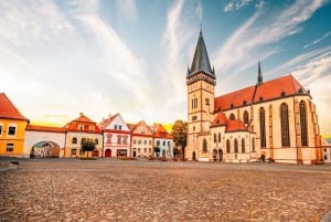 Private driver all day from Budapest to Vienna & Bratislava