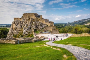 Private Tour to Bratislava and Devin Castle from Vienna