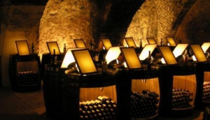 Slovak National Collection of Wine