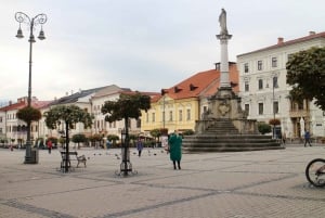 Словацкий национальный музей с частной экскурсией по Братиславскому граду