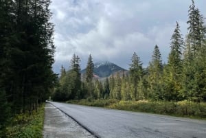 Transfer from hotel in Zakopane to Palenica (Morskie Oko)