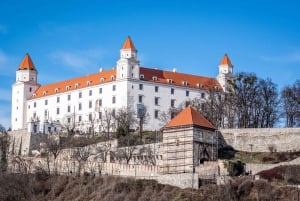 UFO Observation Deck Bratislava Private Tour mit Eintritt