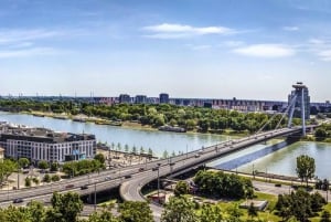 Vienna: tour guidato di un giorno per piccoli gruppi a Bratislava e Budapest