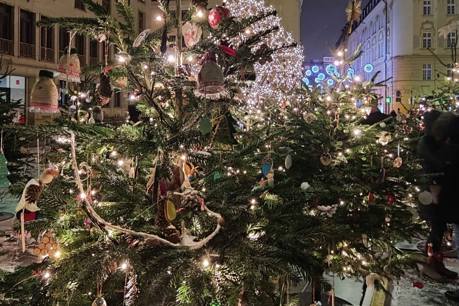 Vienne : Marché de Noël de Bratislava et visite du château de Devin