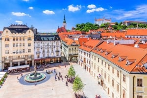 Wenen: privétour van een halve dag door Bratislava