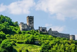 Vienna: Melk Abbey, Danube Valley, Wachau Private Car Trip