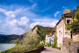 Vienna: Melk Abbey, Danube Valley Wachau Private Car Trip