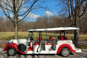 Viena: Passeio turístico pela Cidade Velha num E-Car de estilo vintage