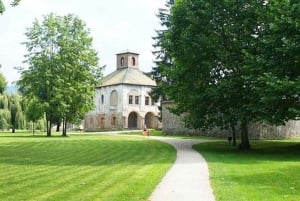 Viena: excursión de 1 día al castillo de Červený Kameň, Čičmany y Trenčín