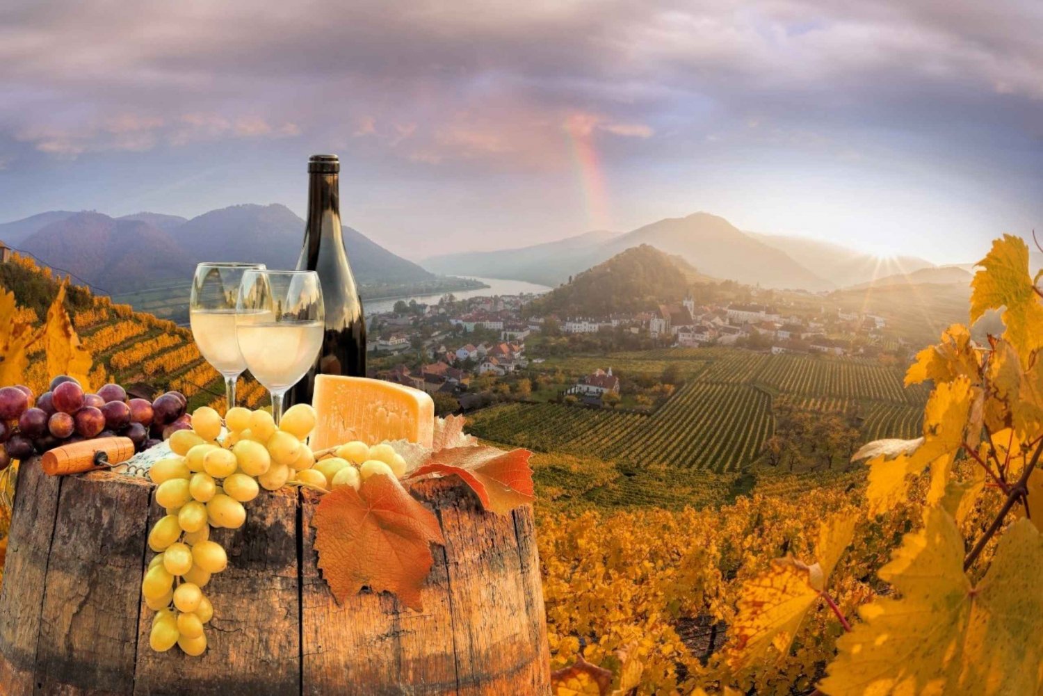 Vienne : Visite d'un vignoble et dégustation de vin avec un expert en vin