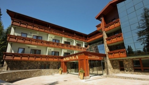 Wellness Hotel Borovica