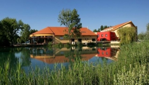 Wellness Hotel Patince