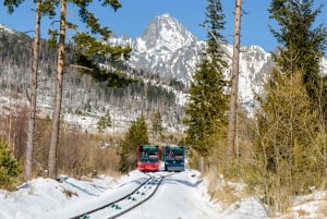 Zakopane: tour del tempio di ghiaccio di Hrebienok in funicolare
