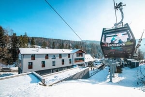 Zakopane: Baumwipfelpfad & Seilbahn mit Abholung
