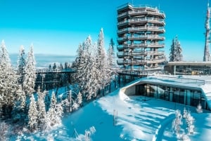 Zakopane: Baumwipfelpfad & Seilbahn mit Abholung