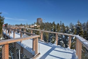 Zakopane: Baumwipfelpfad & Seilbahn mit Abholung
