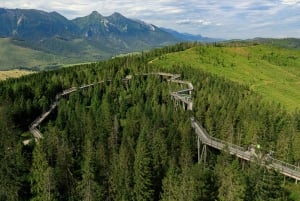 Zakopane: Treetop Walk & Niedzica Castle Private Tour