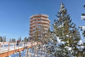 Zakopane: Treetop Walk & Niedzica Castle Private Tour