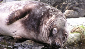 ZOO Bojnice